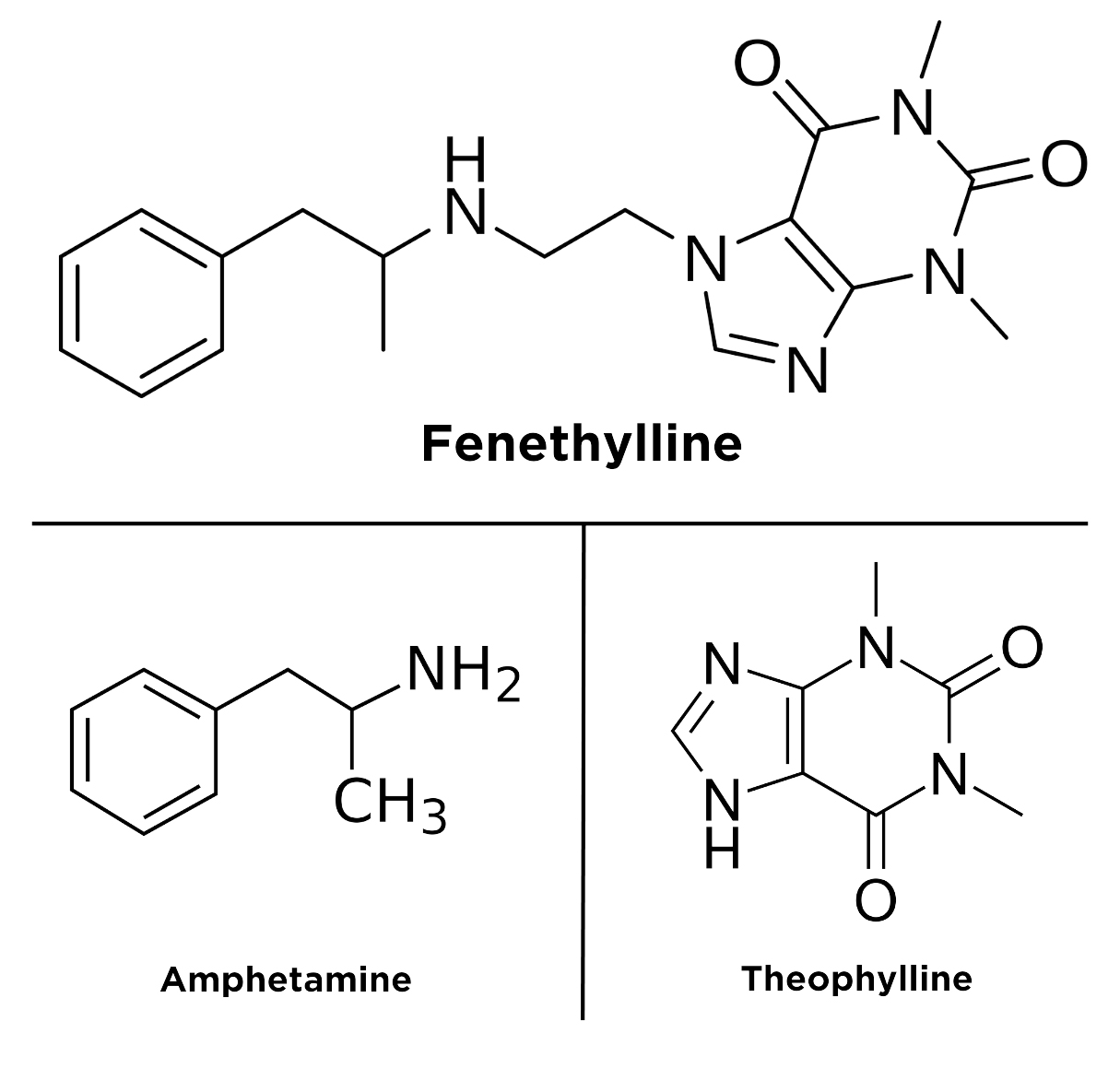 Chemical components of Amphetamine, Theophylline and Fenethylline.