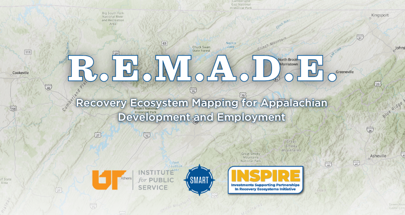 The logo for R.E.M.A.D.E., including the logos for UT IPS, SMART, and the INSPIRE initiative.